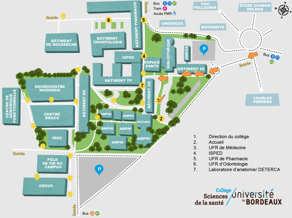 Plan site Carreire - Direction bâtiment AD