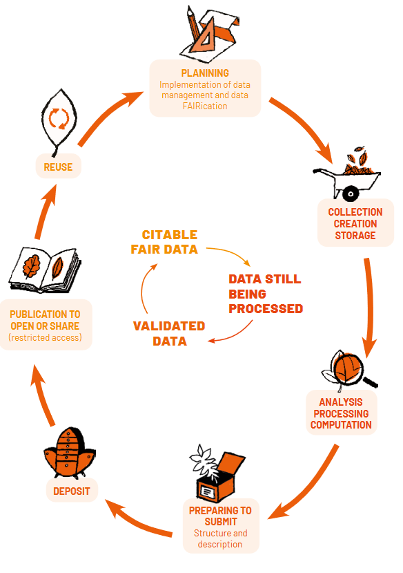 Research Data Lifecycle